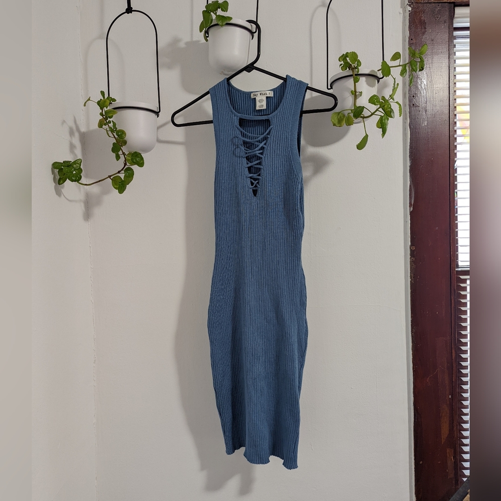 Say What? Blue dress